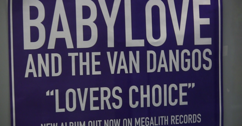 Ska Band Babylove & The Van Dangos